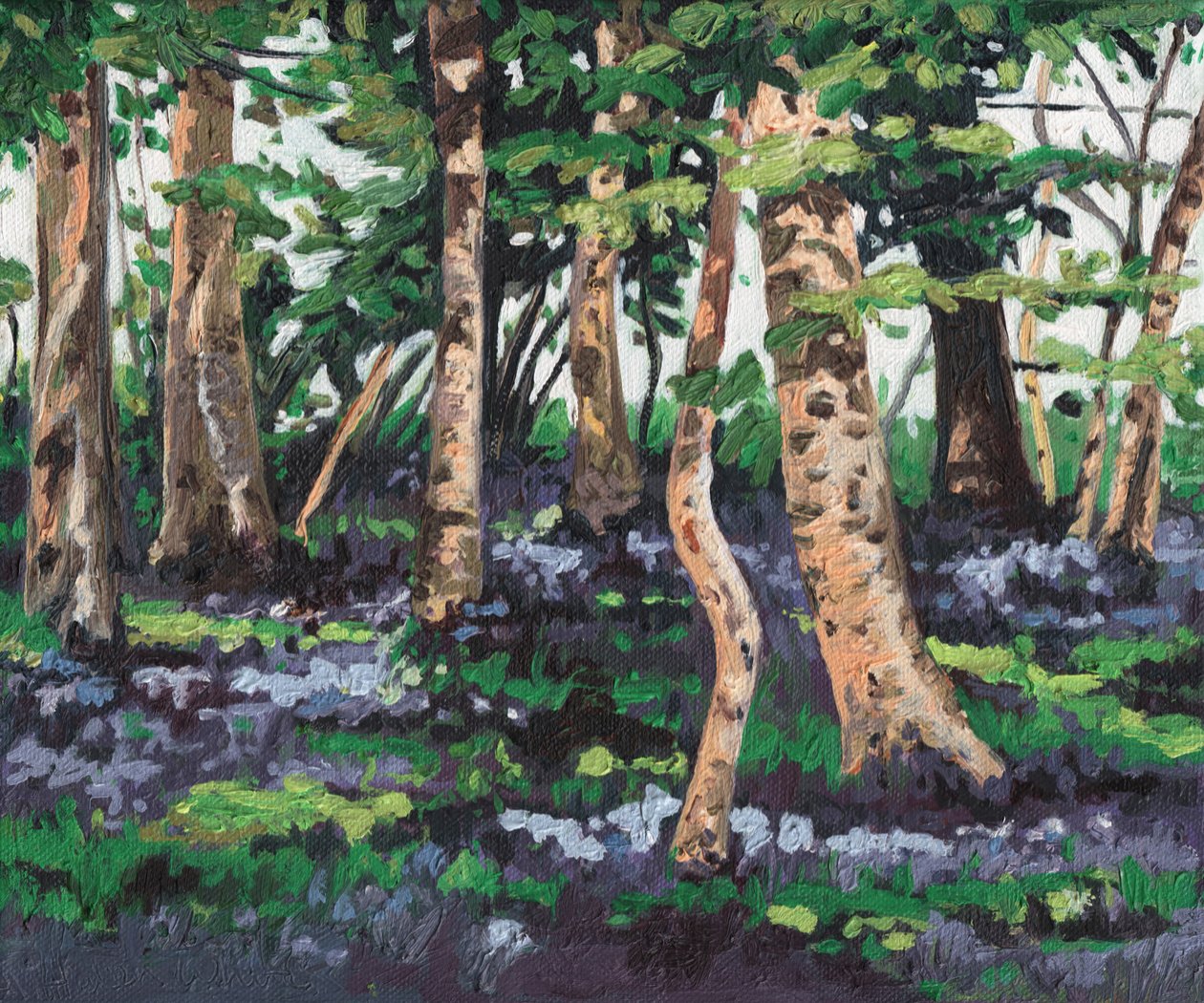 Bosco di campanule, 2009 da Helen White