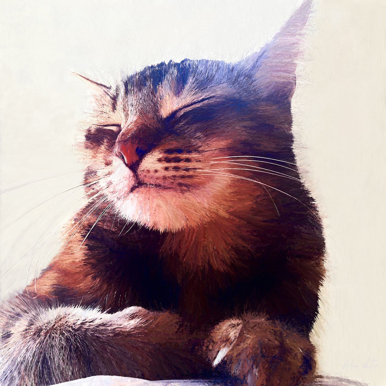 Il Gatto che ha Preso la Panna, 2018 da Helen White