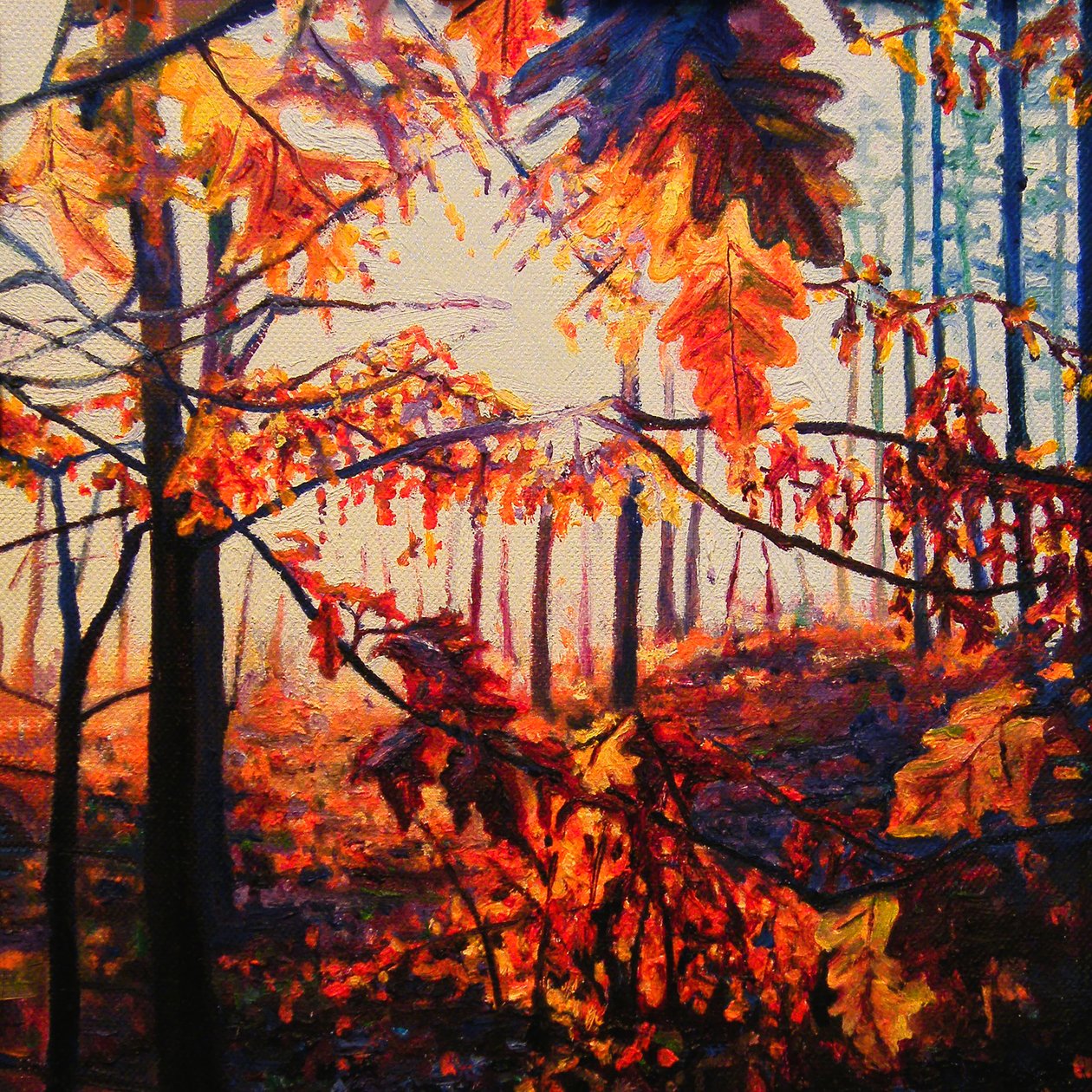Bosco di rame, 2009 (olio su tela) da Helen White