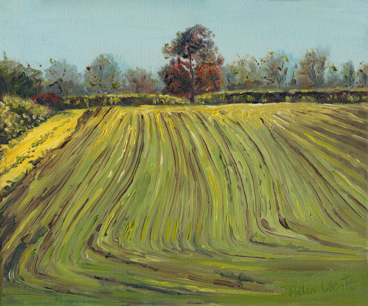Solchi, 2008 da Helen White