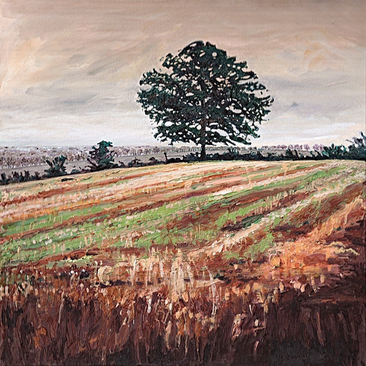 Campo del Tardo Pomeriggio da Helen White