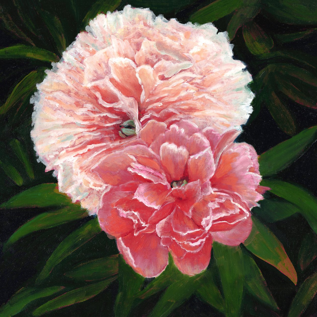 Peonie del Magdalen College, 2023 (olio su tela) da Helen White