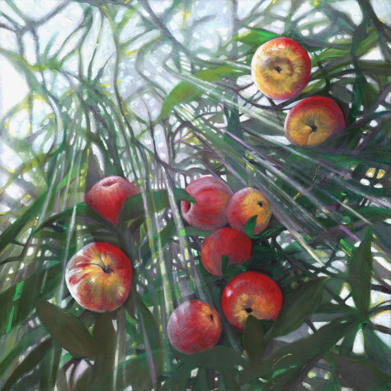 Nuova luce su Eden, 2016 da Helen White