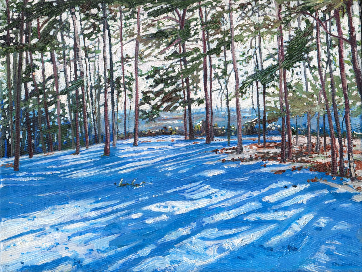 Cresta Nevosa da Helen White