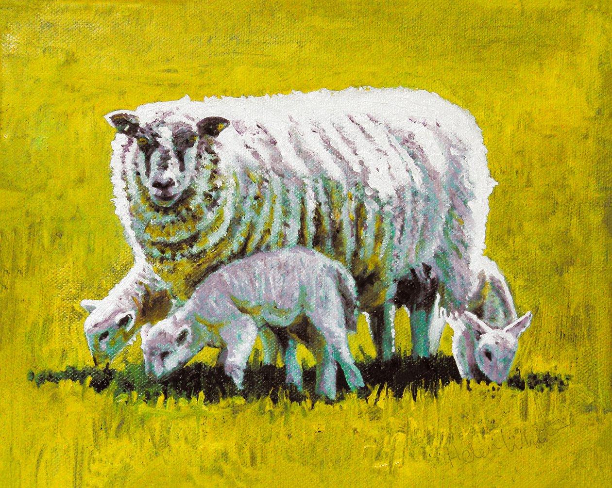 Insieme, 2009 (olio su tela) da Helen White