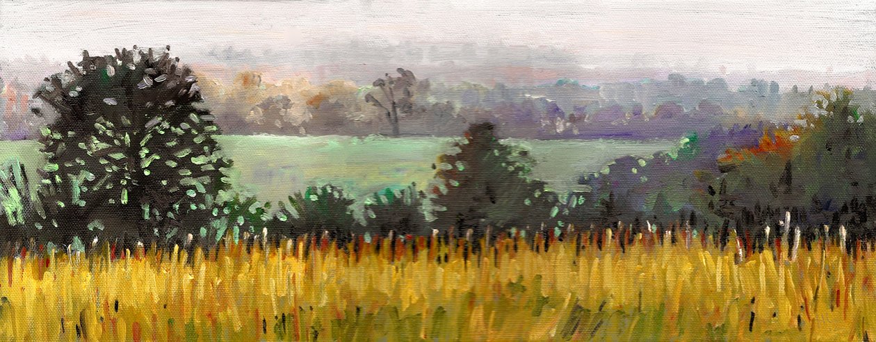 Verso Grazeley, 2012 (olio su tela) da Helen White