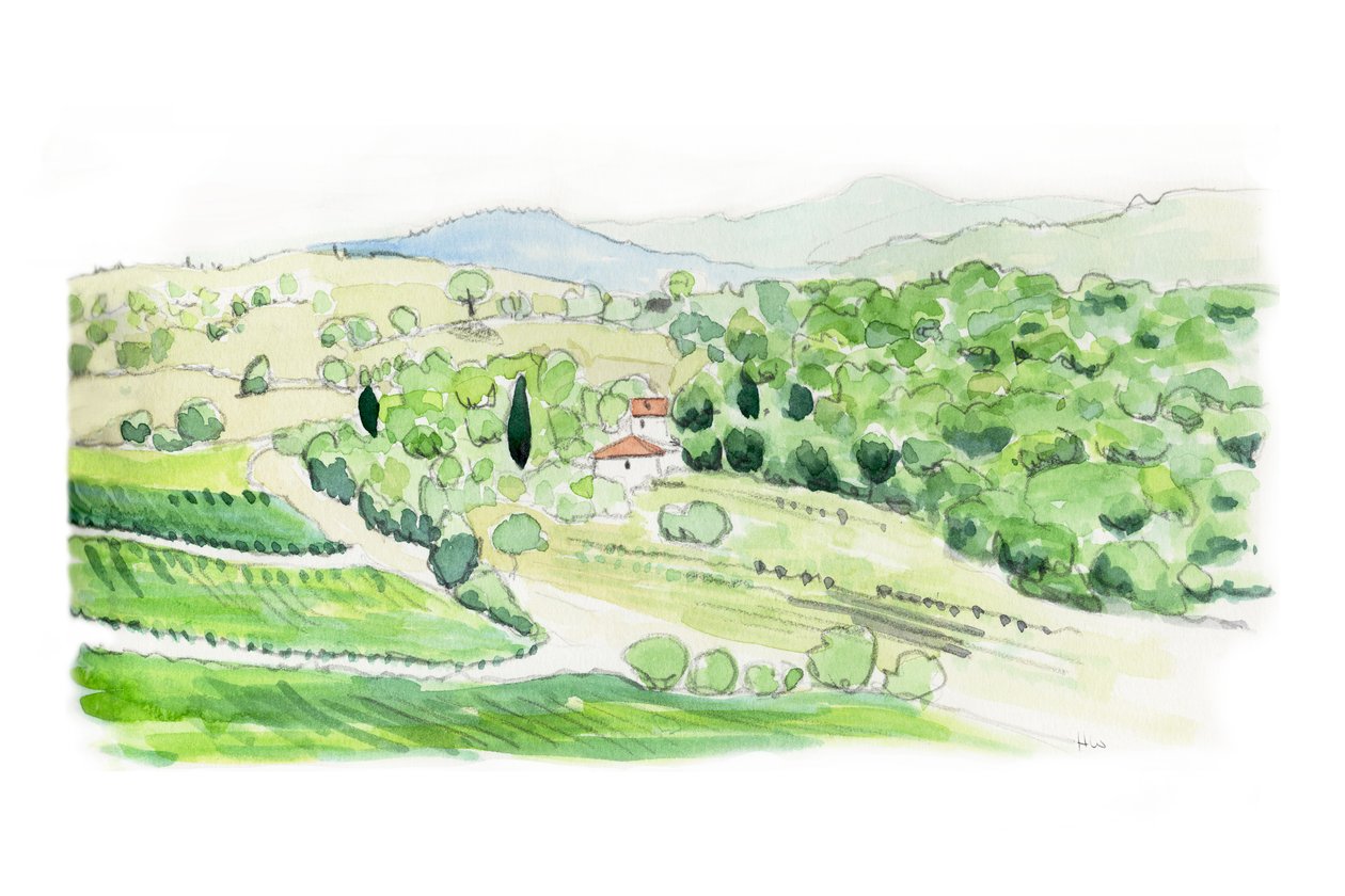 Collina toscana, 2014 (matita e acquerello) da Helen White