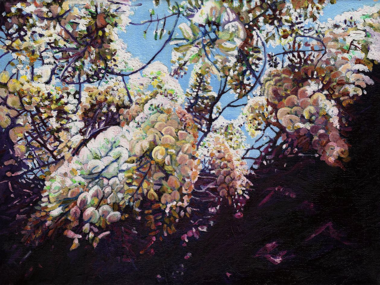 Glicine bianco, 2012 da Helen White