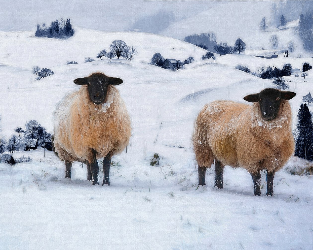 Cappotti Invernali da Helen White