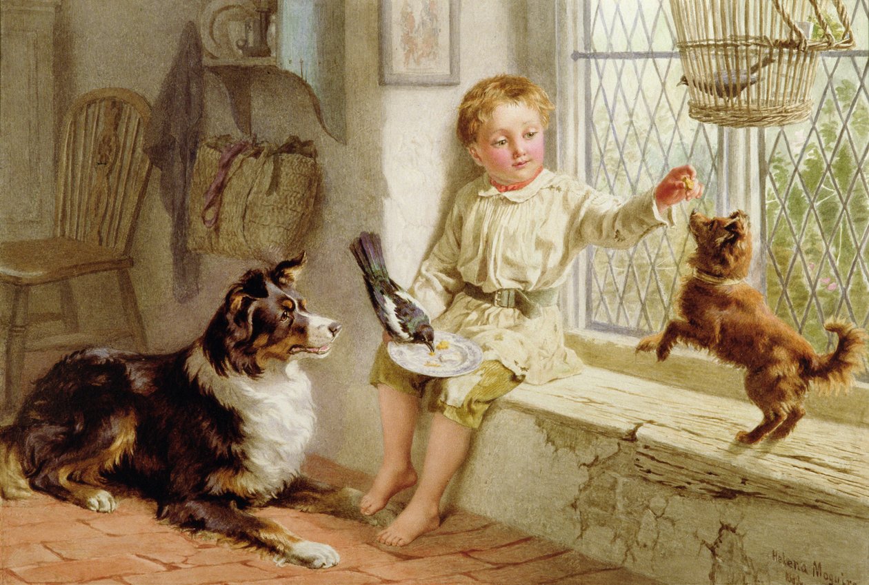 Amici da Helena J. Maguire