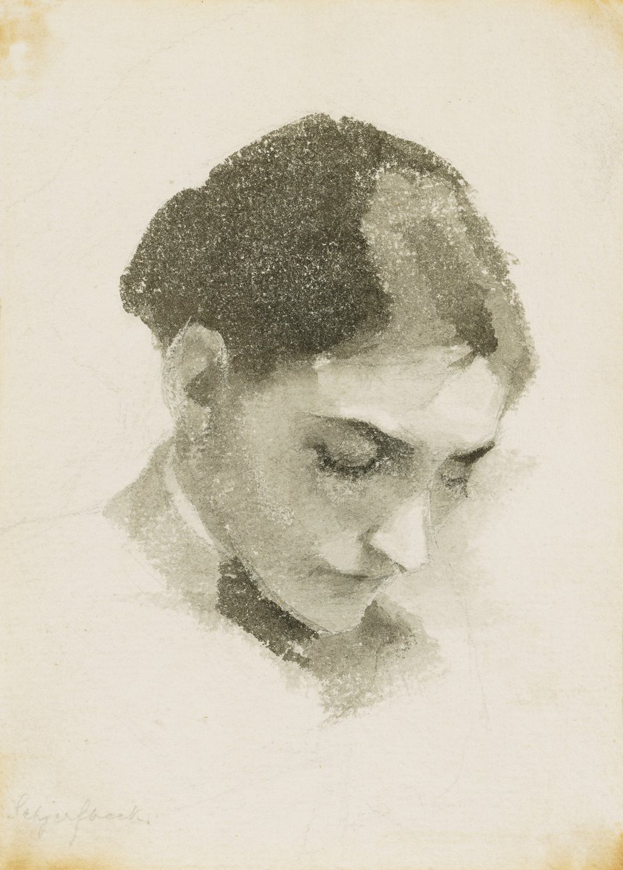 Testa di una donna da Helene Schjerfbeck