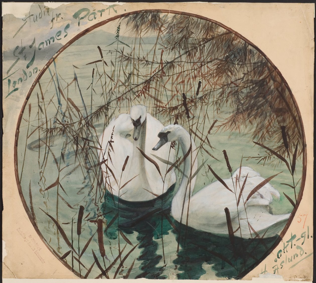 Cigni in uno stagno da Helmer Osslund