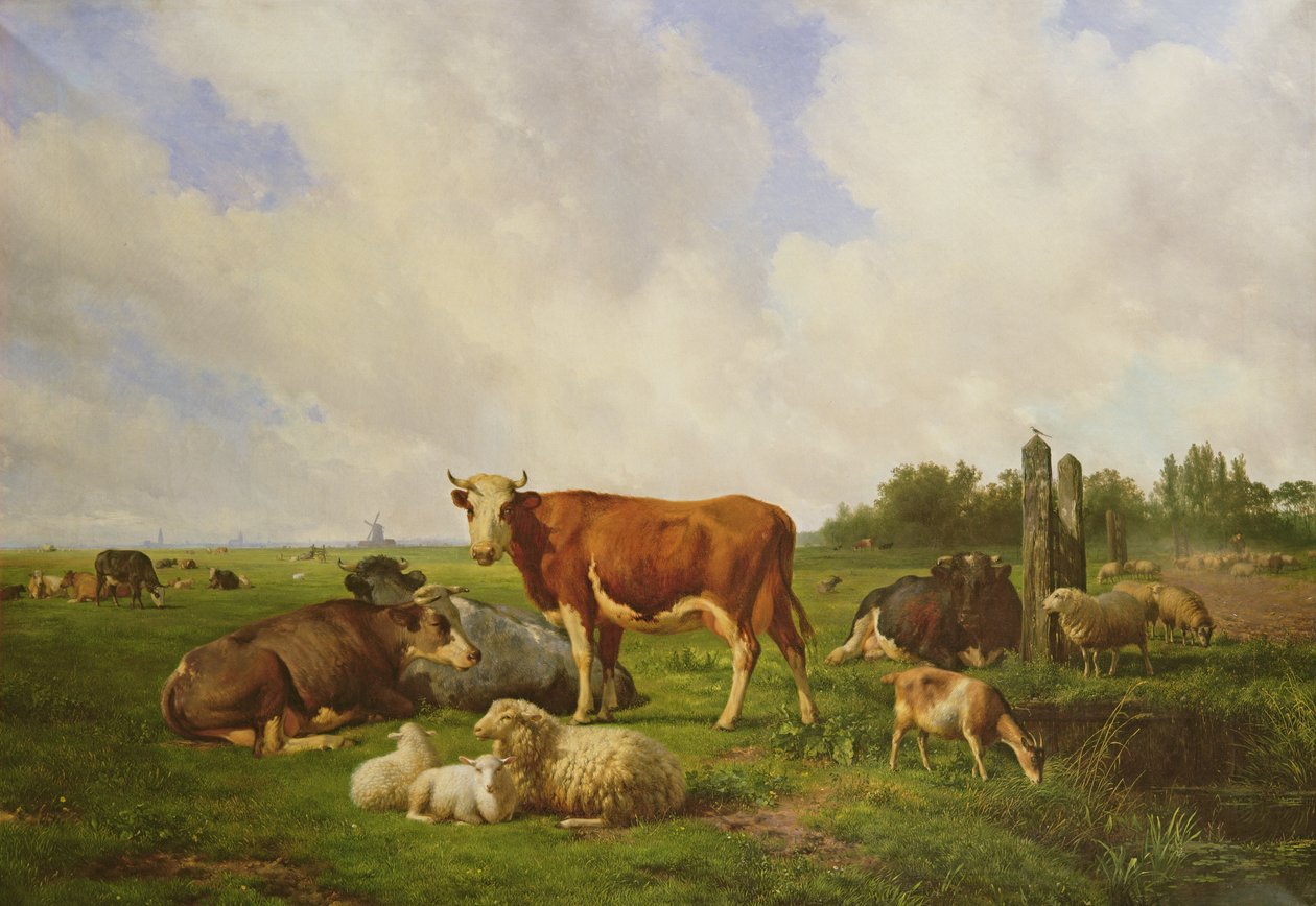Pecore e bovini in un campo da Hendrick van de Sande Bakhuyzen