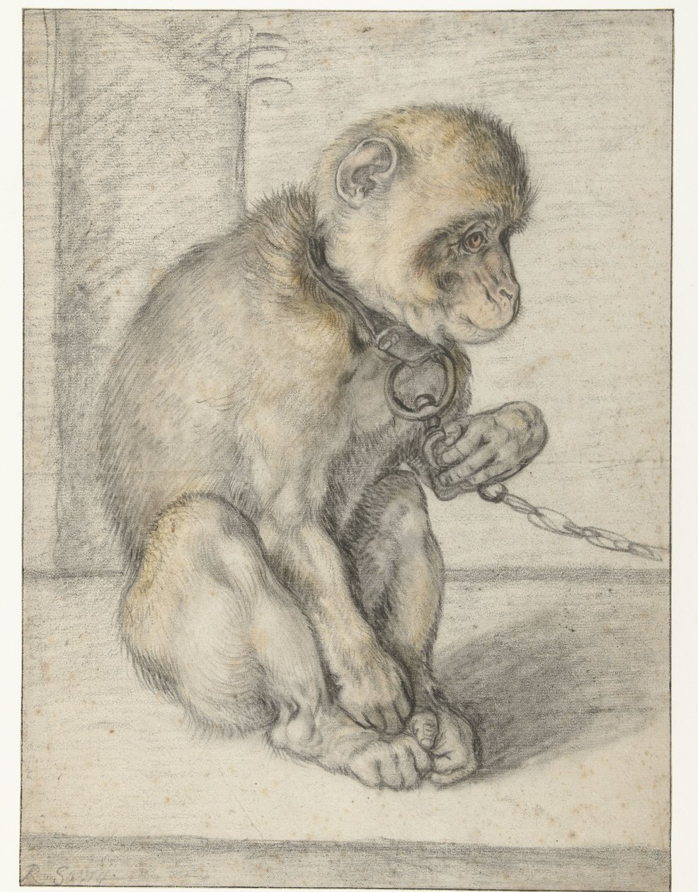 Scimmia seduta su una catena da Hendrick Goltzius