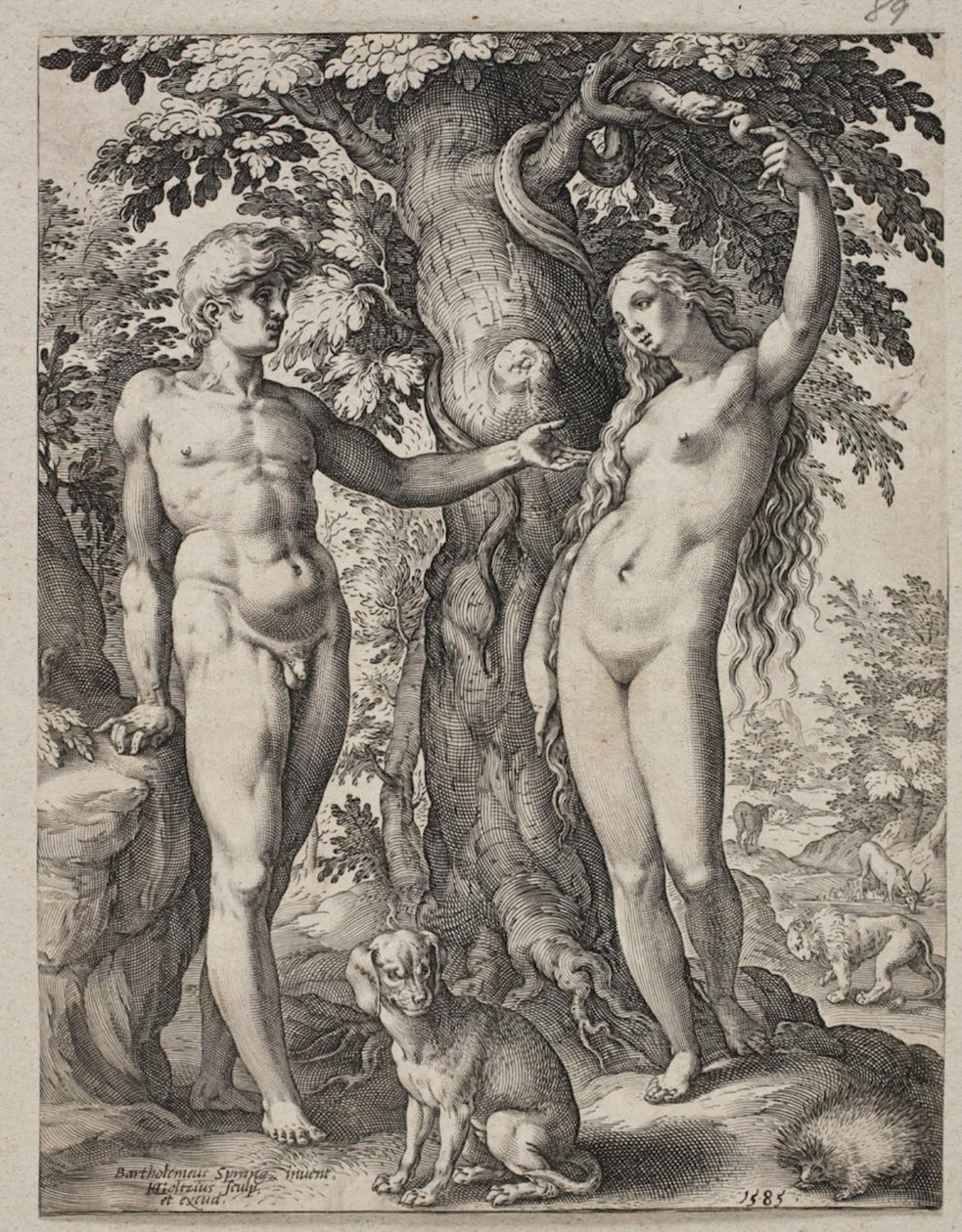 Adamo ed Eva da Hendrick Goltzius