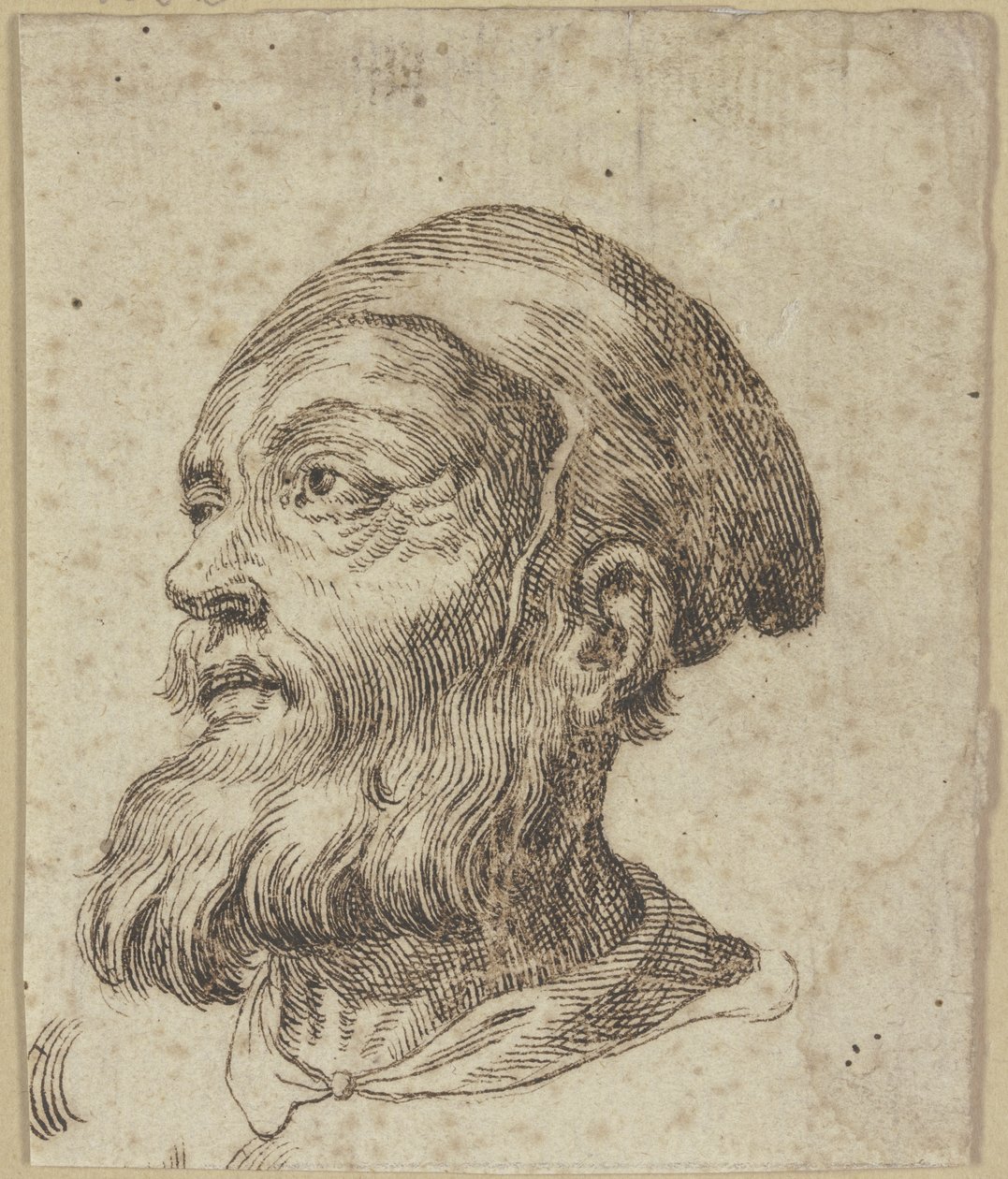 Testa di un uomo anziano in profilo a tre quarti verso sinistra da Hendrick Goltzius