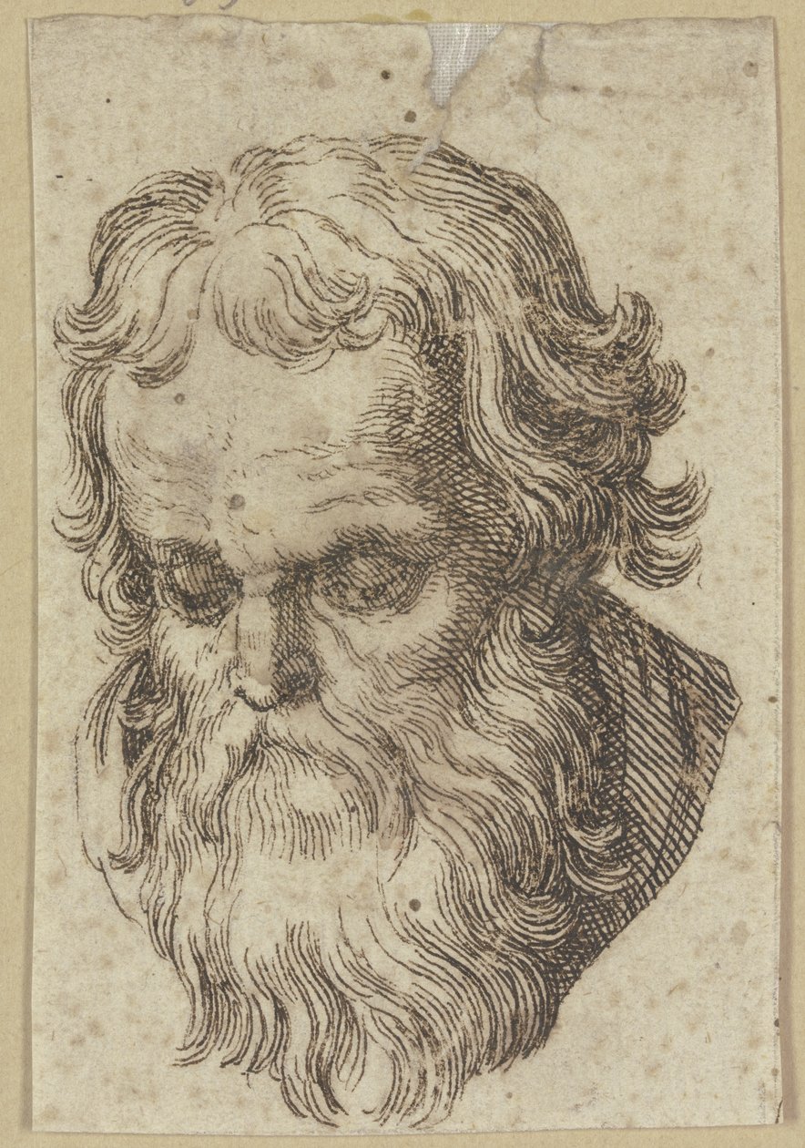 Testa di un uomo barbuto, chinata in avanti da Hendrick Goltzius