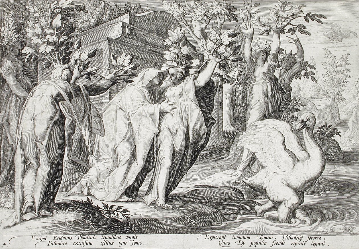 Le sorelle di Fetonte trasformate in pioppi e Cicno in un cigno da Hendrick Goltzius