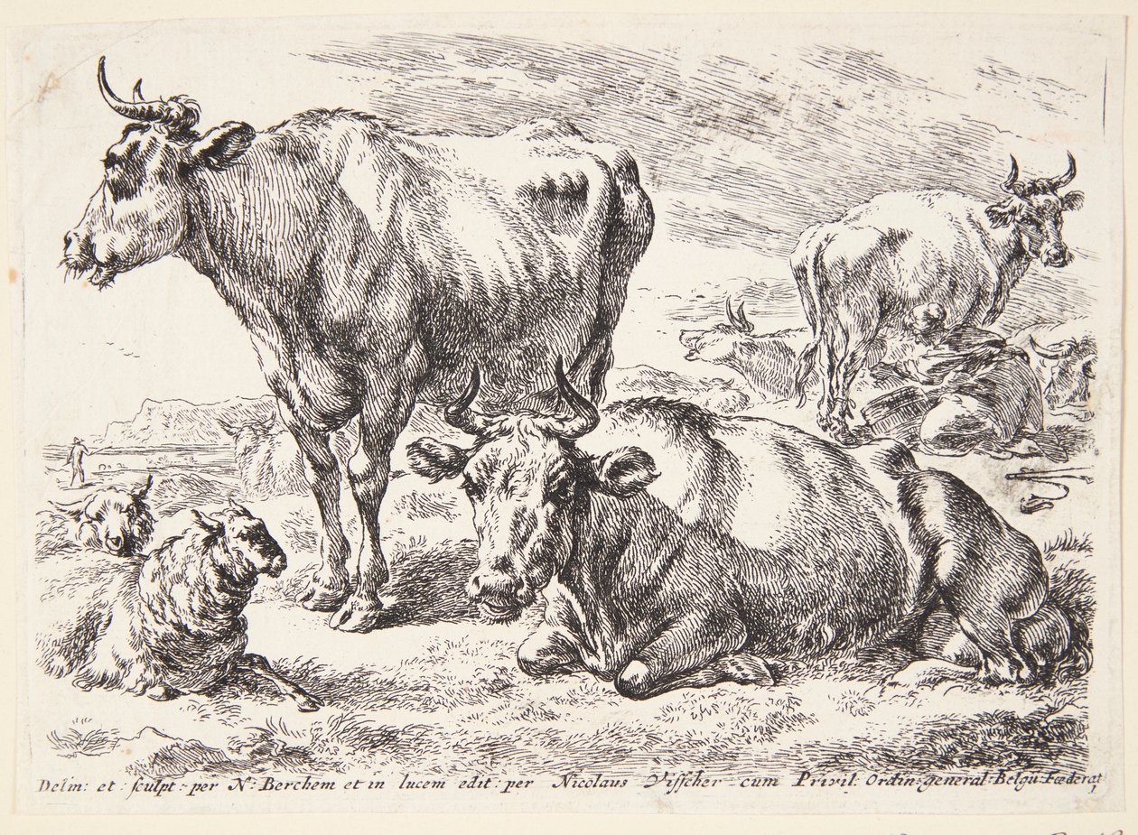 Ritratto di un membro della famiglia Out. Cornelis Out (?) da Hendrick Goltzius