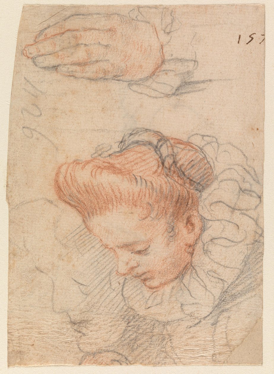 Foglio di schizzi con testa di donna e mano da Hendrick Goltzius