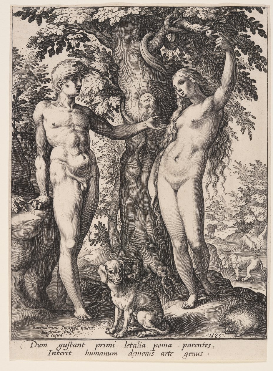 La caduta dell