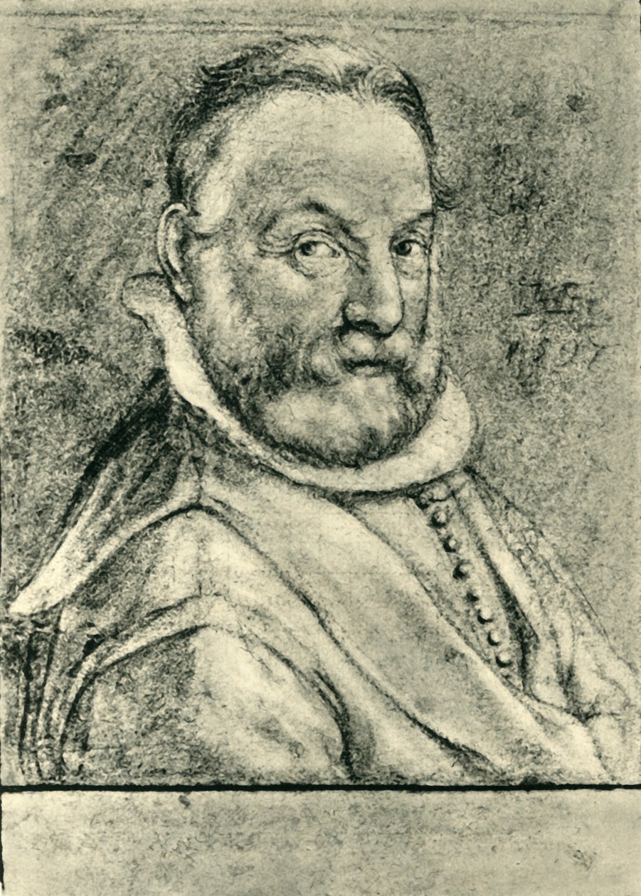Ritratto di un uomo con la barba da Hendrik Goltzius