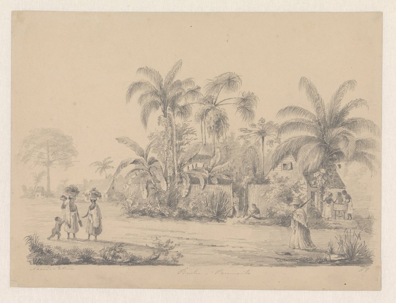 Veduta di strada appena fuori Paramaribo da Hendrik Huygens