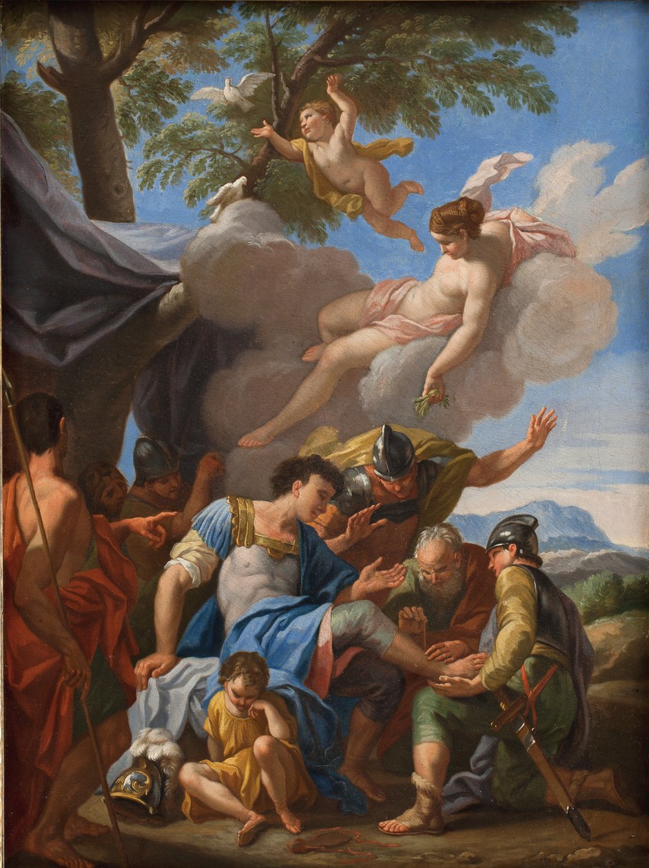 Venere porta rimedi per l