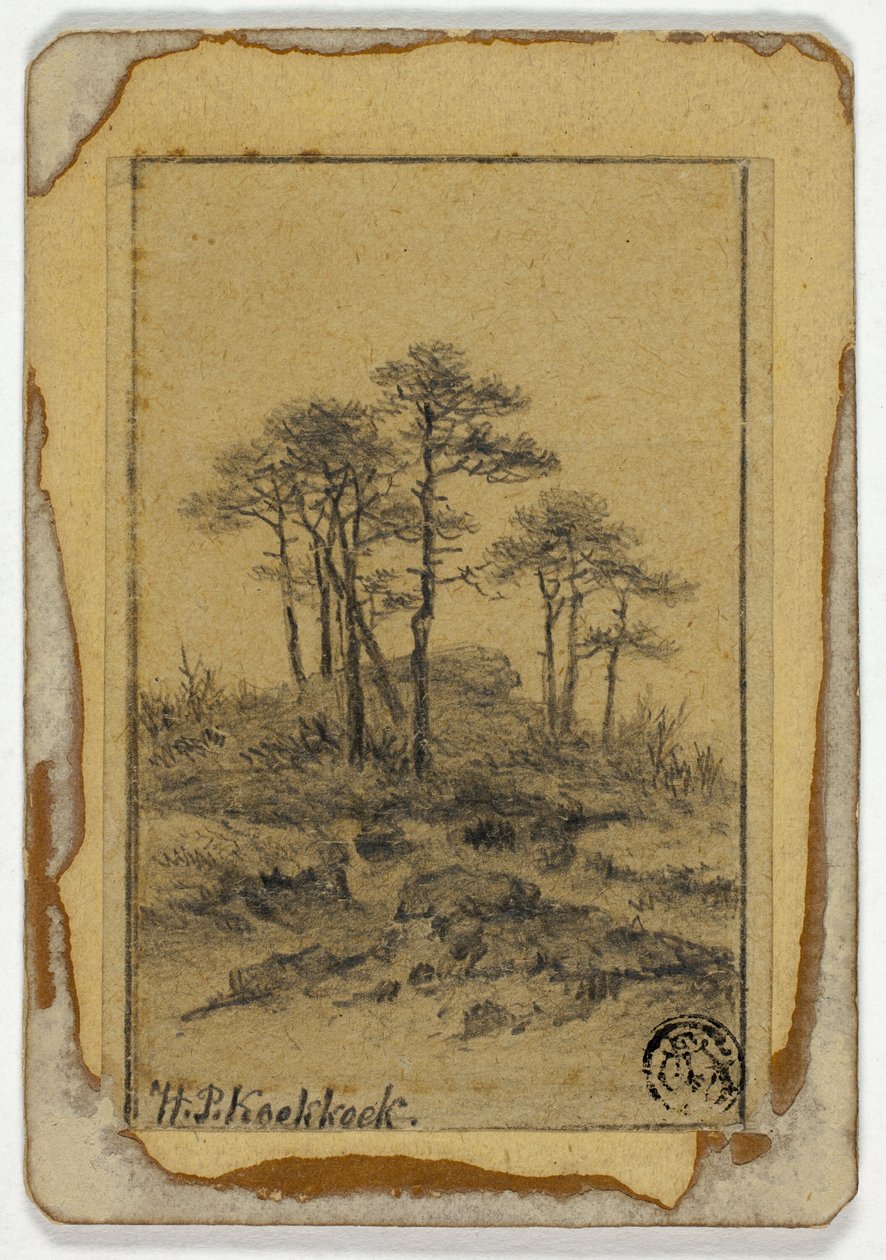 Alberi su collina rocciosa da Hendrik Pieter Koekkoek