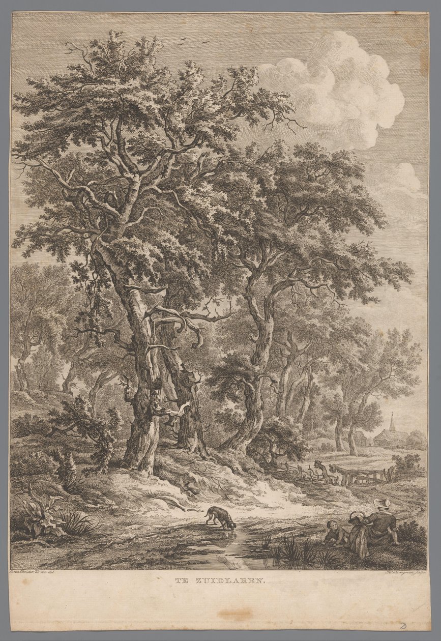 Paesaggio vicino a Zuidlaren da Hendrik Schwegman