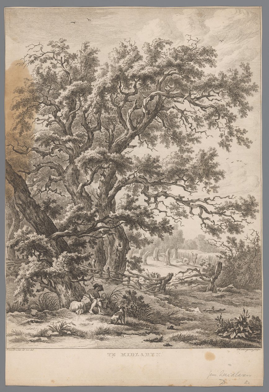 Paesaggio con un uomo e un cane sotto un albero a Midlaren da Hendrik Schwegman