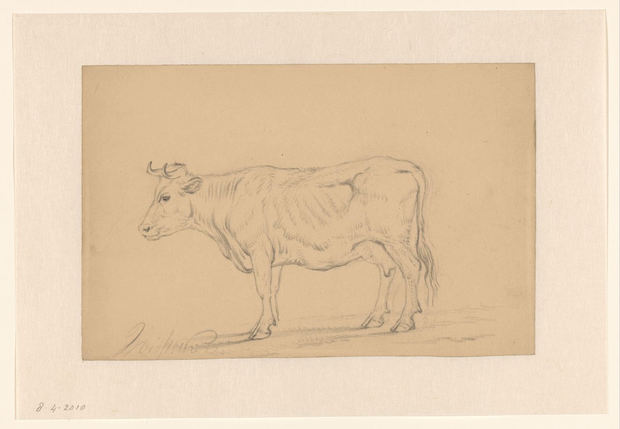 Studio di una mucca in piedi da Hendrik Verspoeken