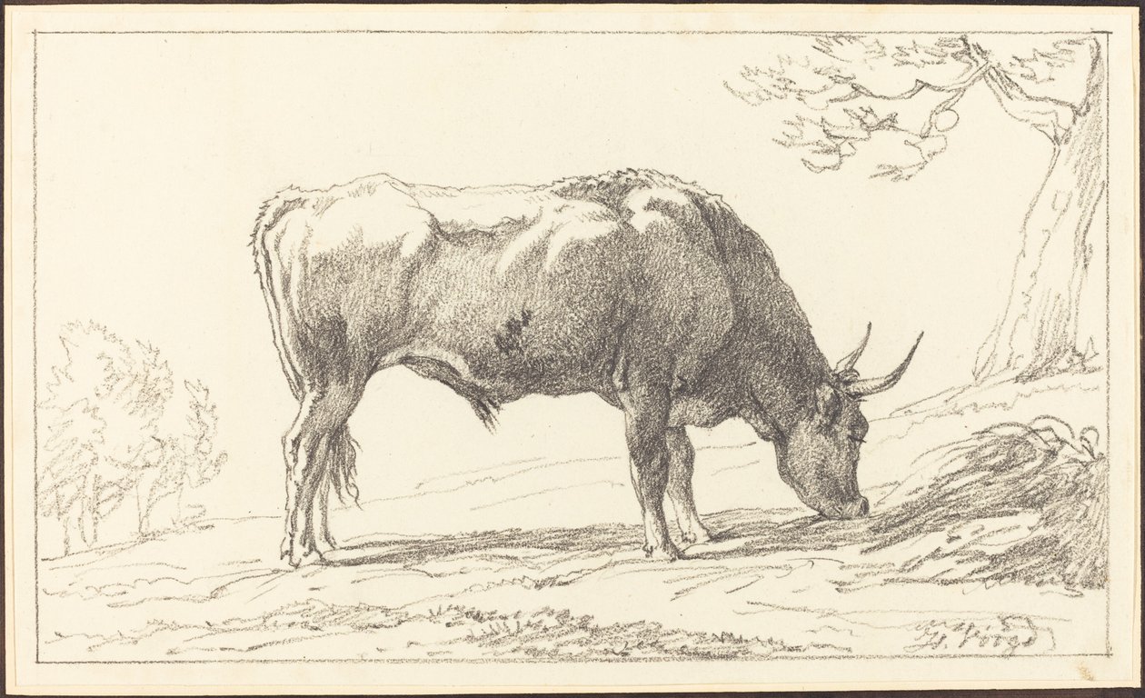 Un giovane toro al pascolo da Hendrik Voogd