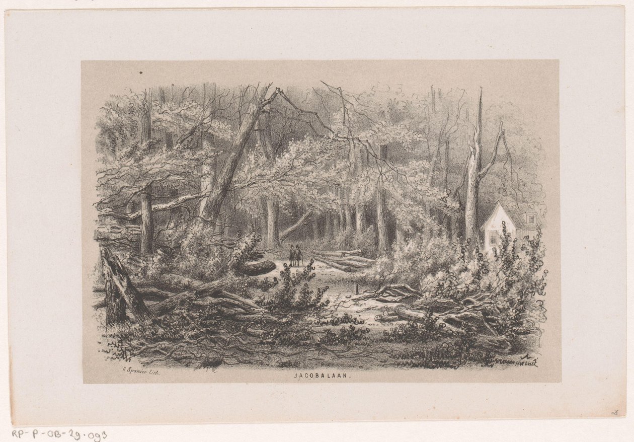 Alberi abbattuti alla Jacobalaan dopo la tempesta del 28 maggio 1860 da Hendrik Wilhelmus Last