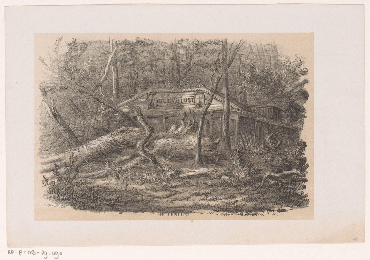 Albero caduto a Buitenlust, dopo la tempesta del 28 maggio 1860 da Hendrik Wilhelmus Last