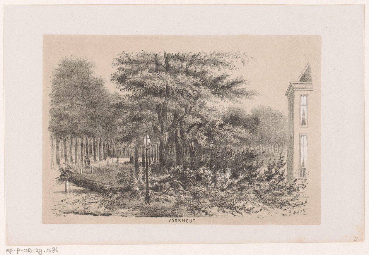 Albero abbattuto a Voorhout, dopo la tempesta del 28 maggio 1860 da Hendrik Wilhelmus Last