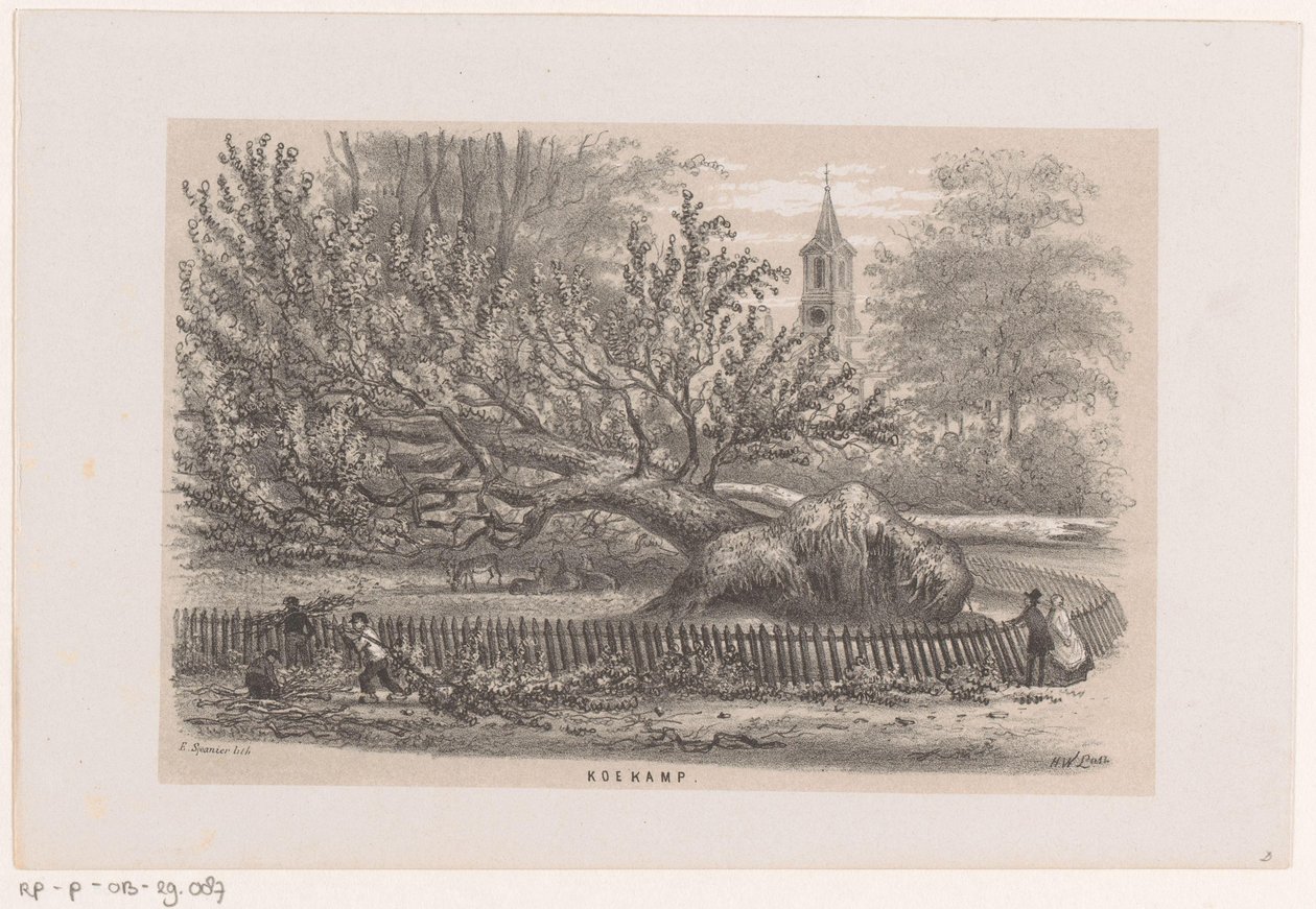 Albero caduto presso la Koekamp, dopo la tempesta del 28 maggio 1860 (Album di dieci schizzi litografati, rappresentanti scene della distruzione causata dalla tempesta del 28 maggio 1860 nella foresta di 