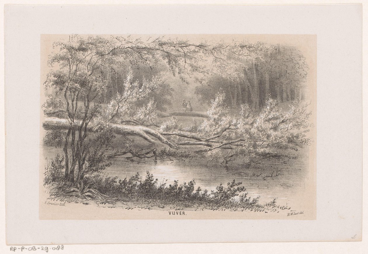 Albero abbattuto, dopo la tempesta del 28 maggio 1860 (Vijver, Album di dieci schizzi litografati, rappresentanti Scene della Distruzione causata dalla tempesta del 28 maggio 1860 nella foresta dell