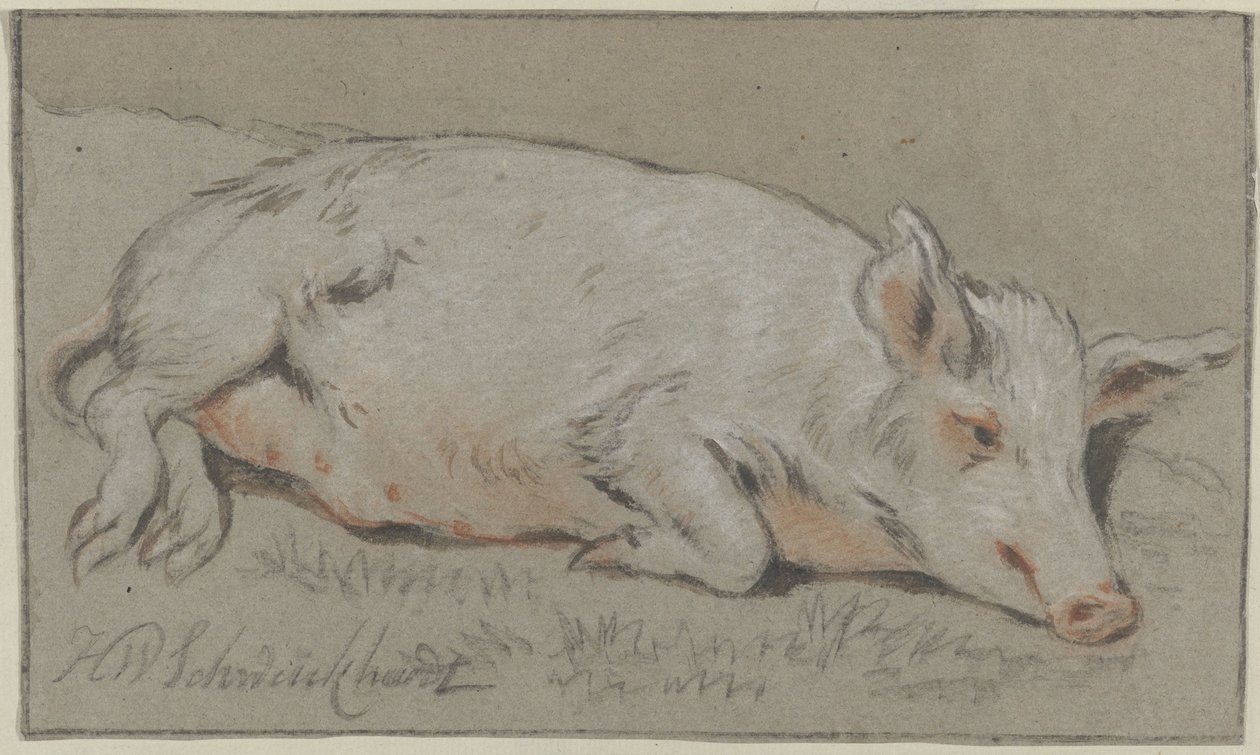 Maiale sdraiato da Hendrik Willem Schweickhardt (signed by artist)