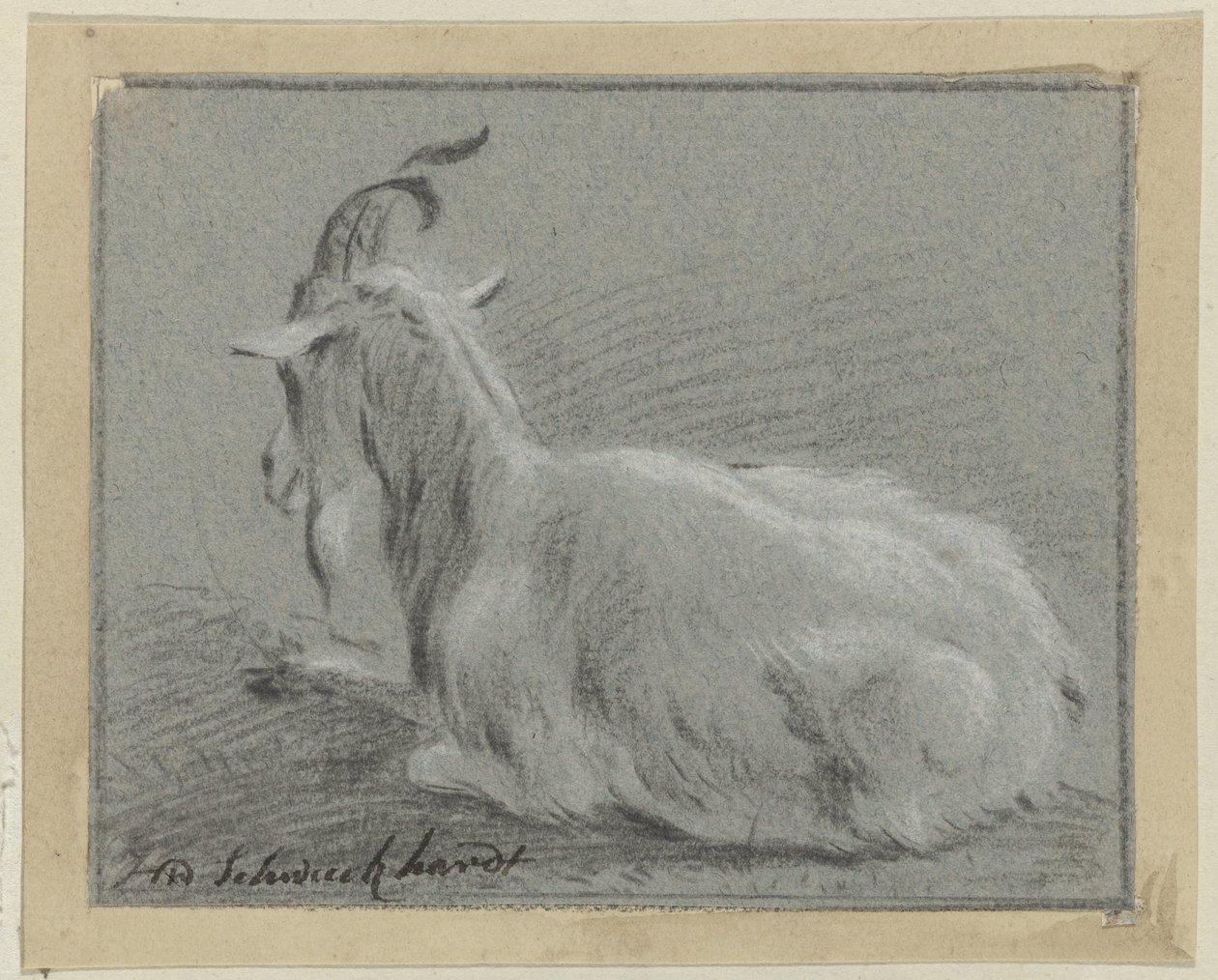 Capra sdraiata da Hendrik Willem Schweickhardt (signed by artist)