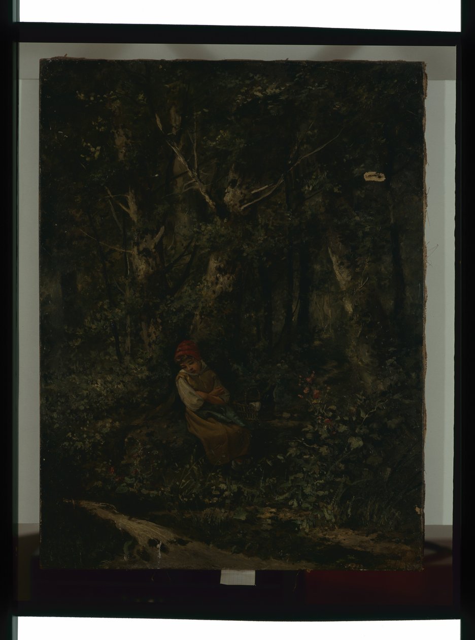 Un ruscello nel bosco da Henri Langerock