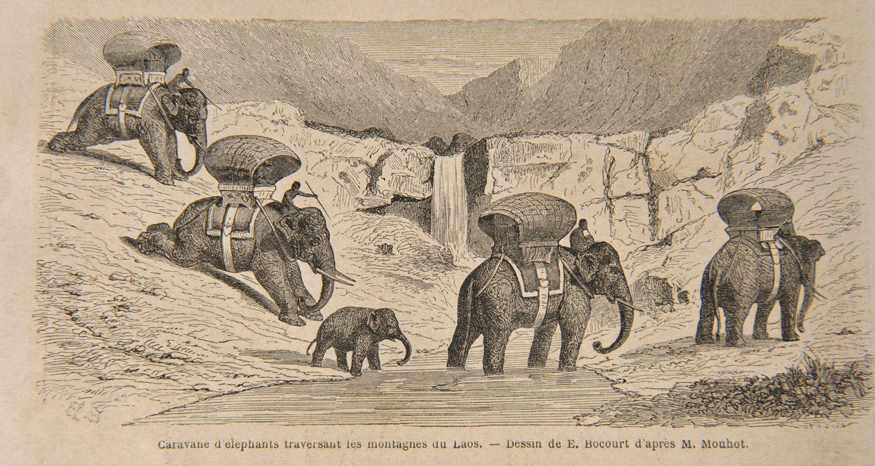 Carovana di elefanti che attraversa le montagne del Laos, stampa realizzata da E. Bocourt, illustrazione da 