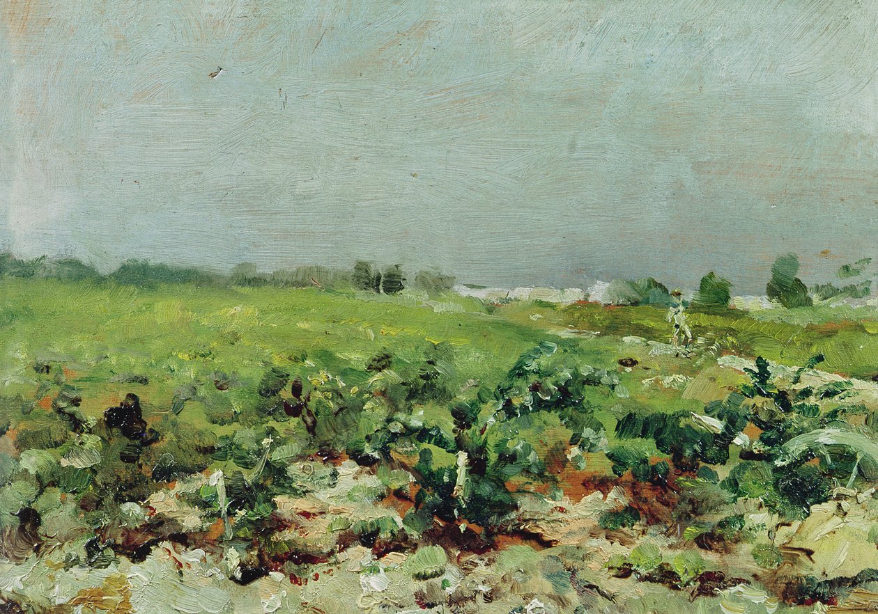 Celeyran, vista del vigneto da Henri de Toulouse Lautrec