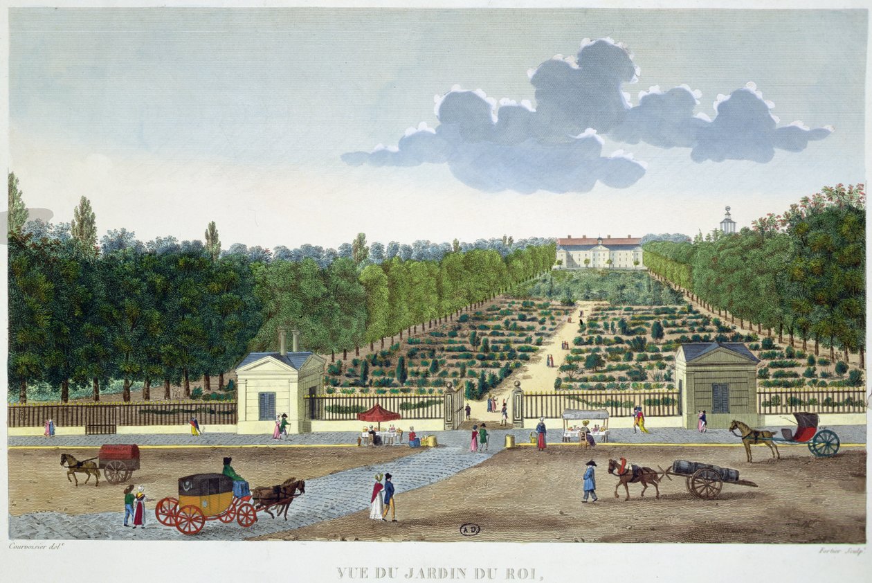 Veduta del Jardin du Roi a Parigi dal ponte di Austerlitz, inciso da Claude Fortier (1775-1835) da Henri (after) Courvoisier Voisin