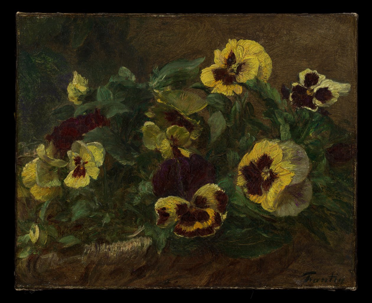 Pansies da Henri Fantin-Latour