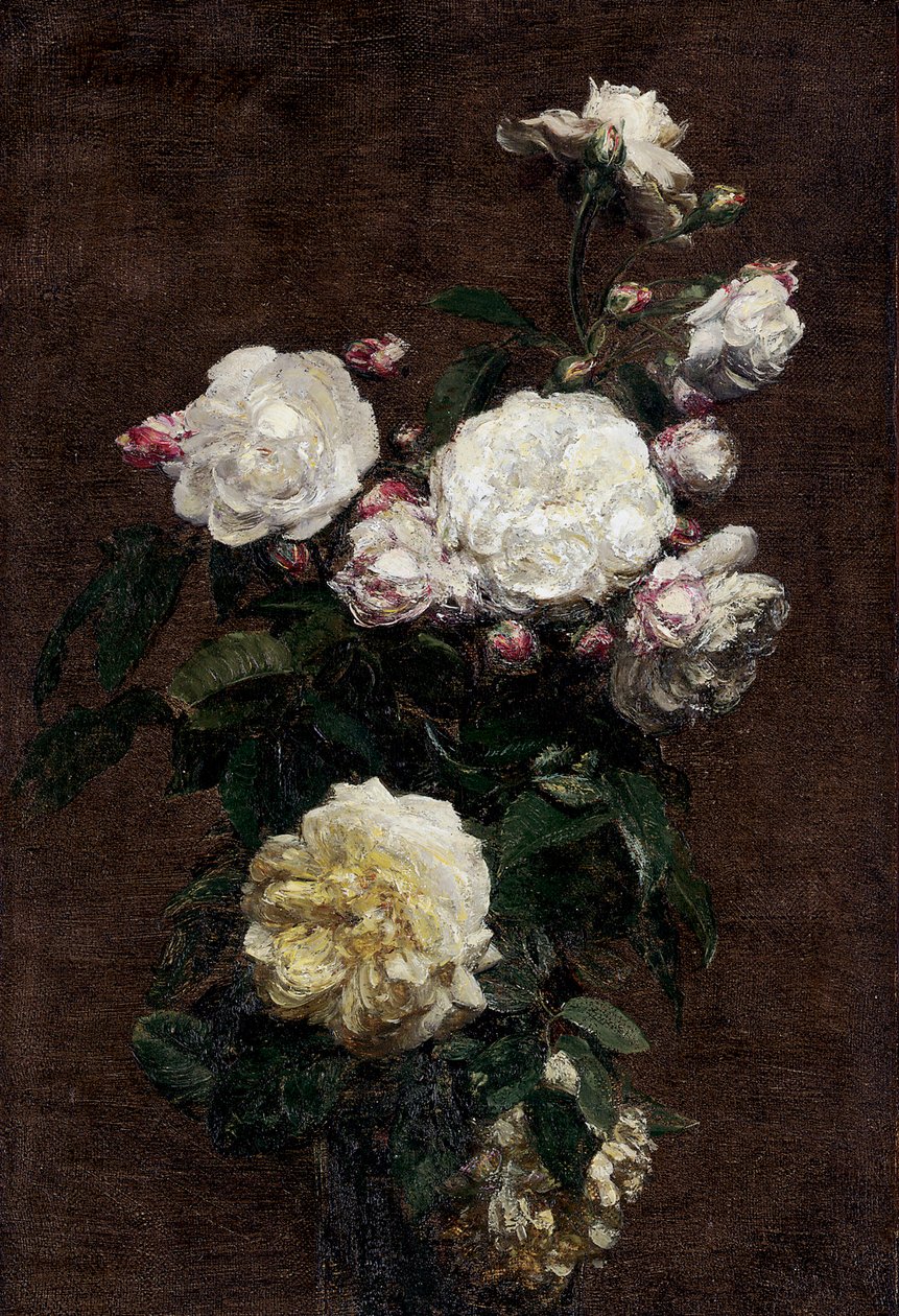 Rose bianche. Dipinto di Henri Fantin-Latour (Fantin Latour da Henri Fantin-Latour