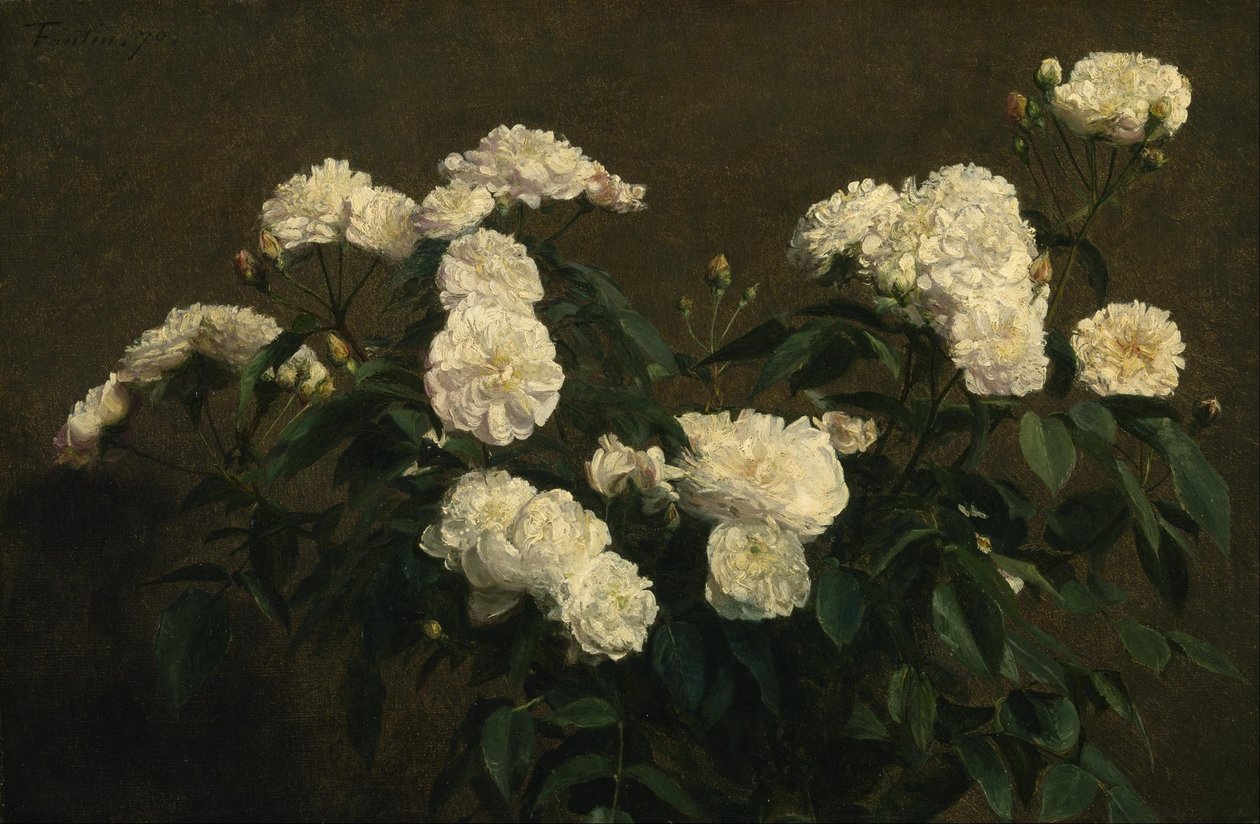 Natura morta di rose bianche da Henri Fantin Latour