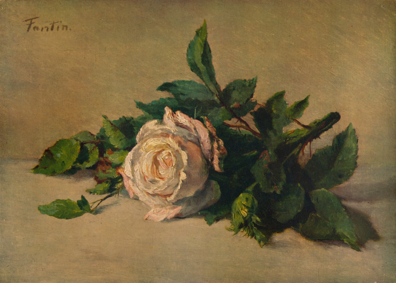 Rosa Bianca, c1863, 1938 da Ignace Henri Jean Fantin Latour