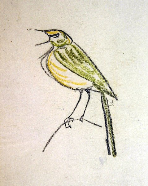 Uccello da Henri Gaudier Brzeska