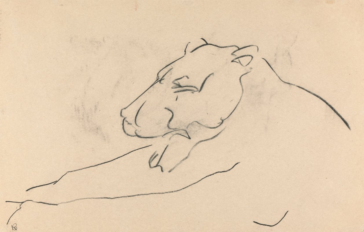 Leonessa sdraiata da Henri Gaudier Brzeska